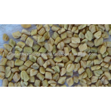 fenugreek seeds supplier